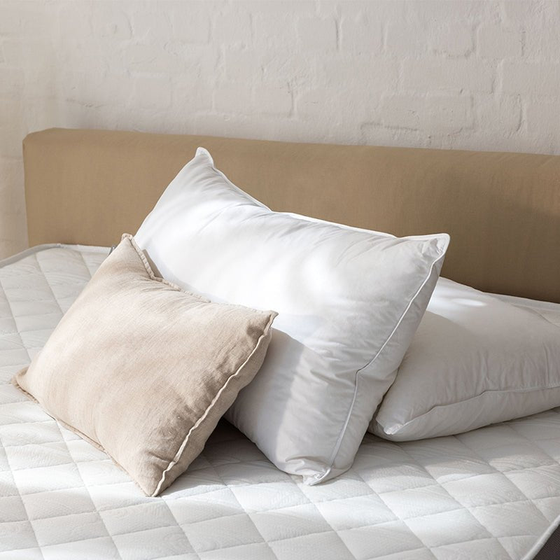 Surrey Down Goose Feather and Down Kingsize Medium/Firm Pillow - Down & Cotton